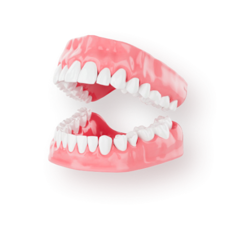 Протезирование зубов по самым современным протоколам